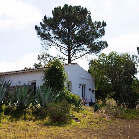 Monte Da Urze Aljezur - Agroturismo Kültér fotó