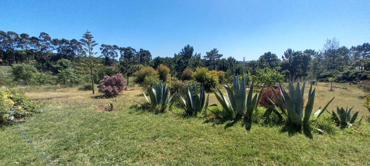 Monte Da Urze Aljezur - Agroturismo Kültér fotó