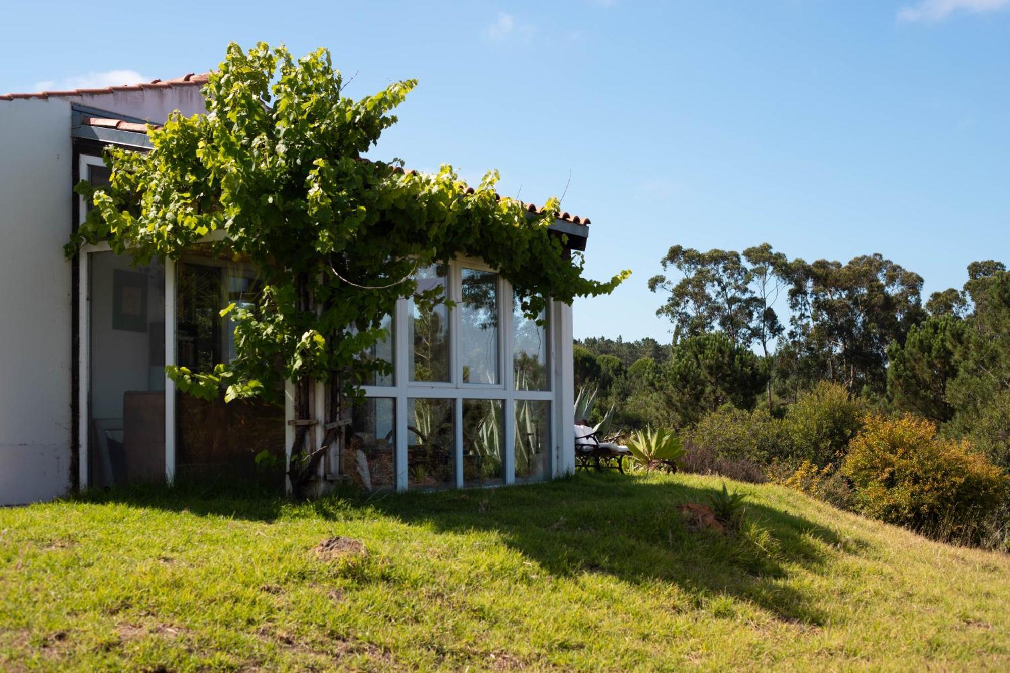 Monte Da Urze Aljezur - Agroturismo Kültér fotó